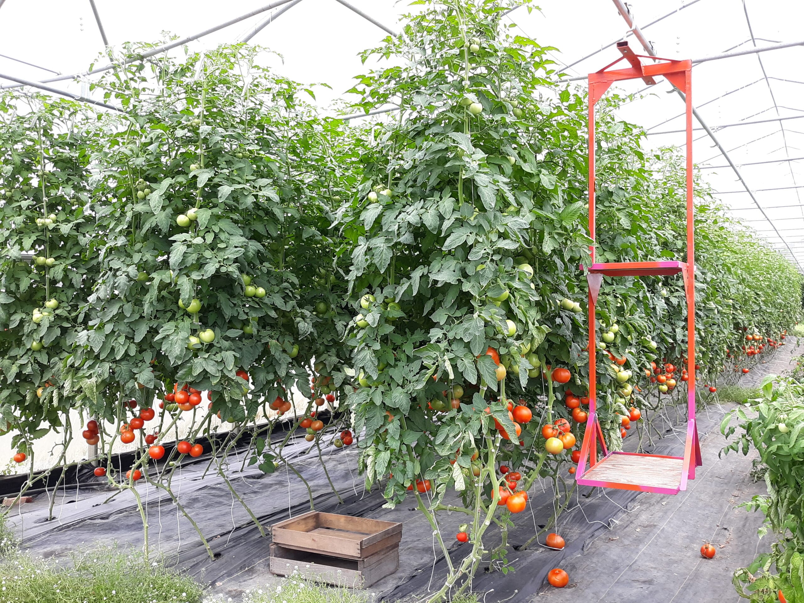 Farm Innovations - Pasa Sustainable Agriculture