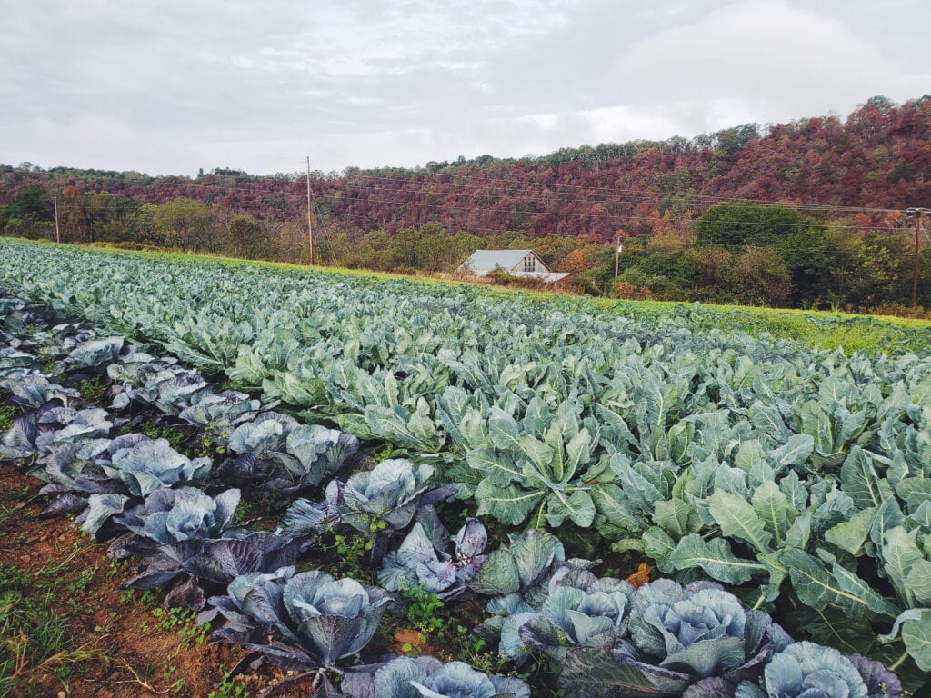 MILLION ACRE CHALLENGE - Future Harvest