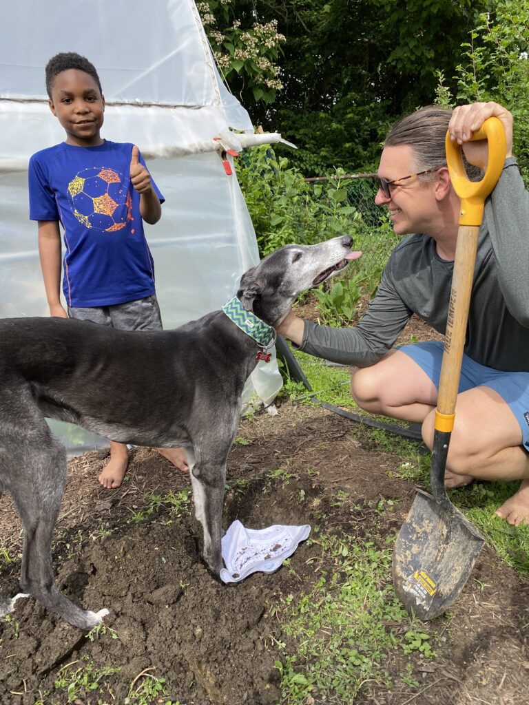 Soil Your Undies  Soil Health Check Up 