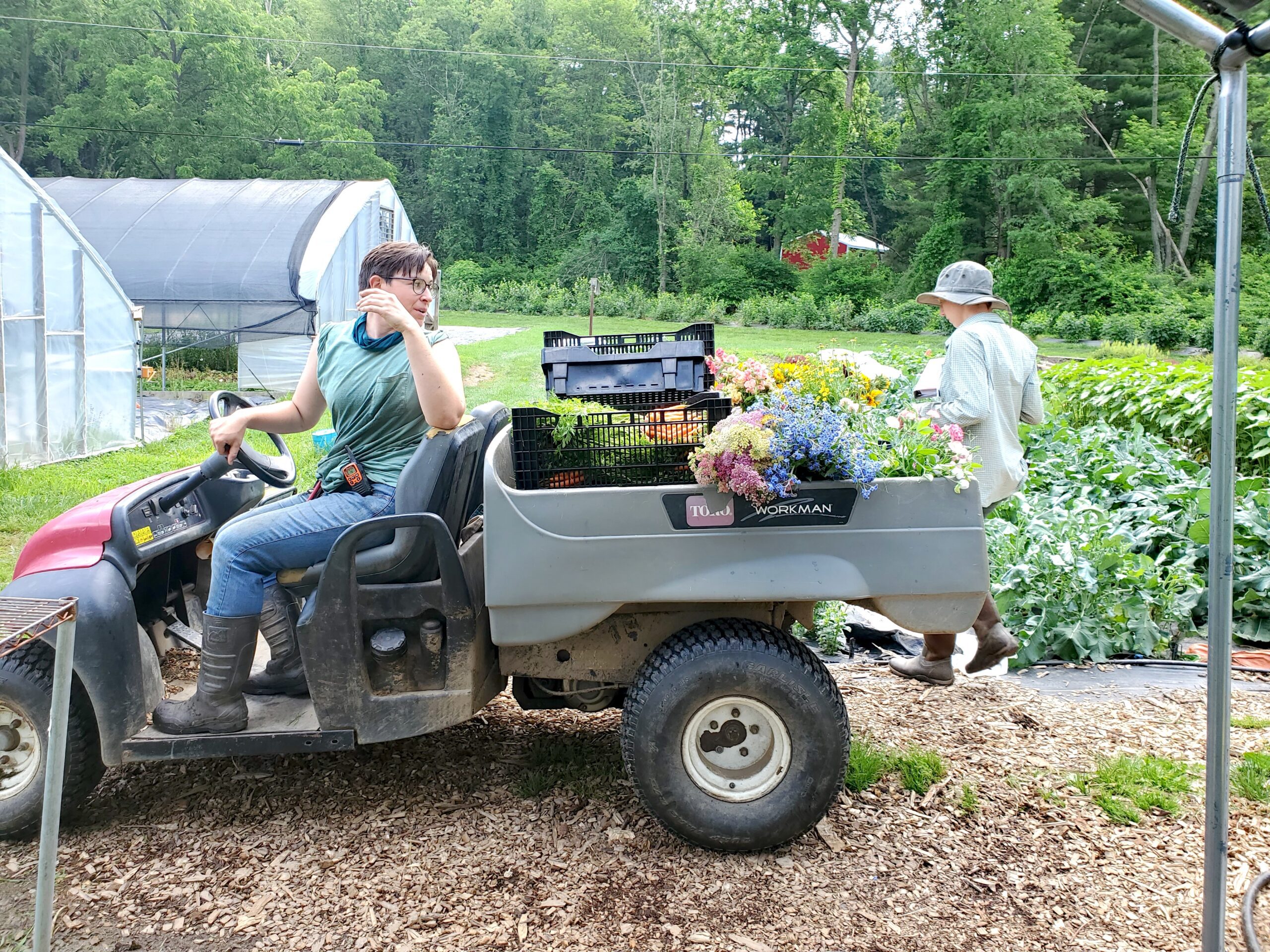 Farm Hand on Flower Farm in Carroll County, MD