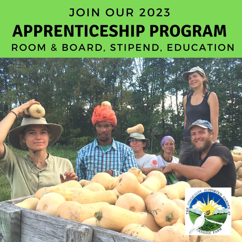 Blairstown, NJ – Apprentices wanted for biodynamic CSA; stipend, housing provided