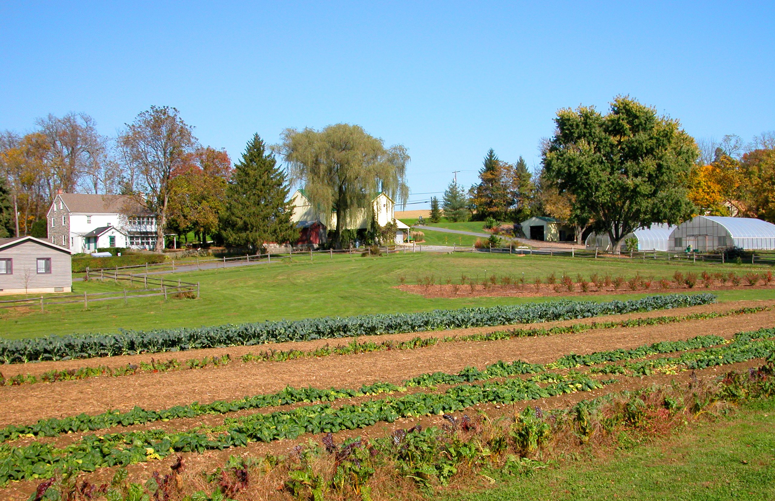 Part-time Farmhand, Organic Care Farm