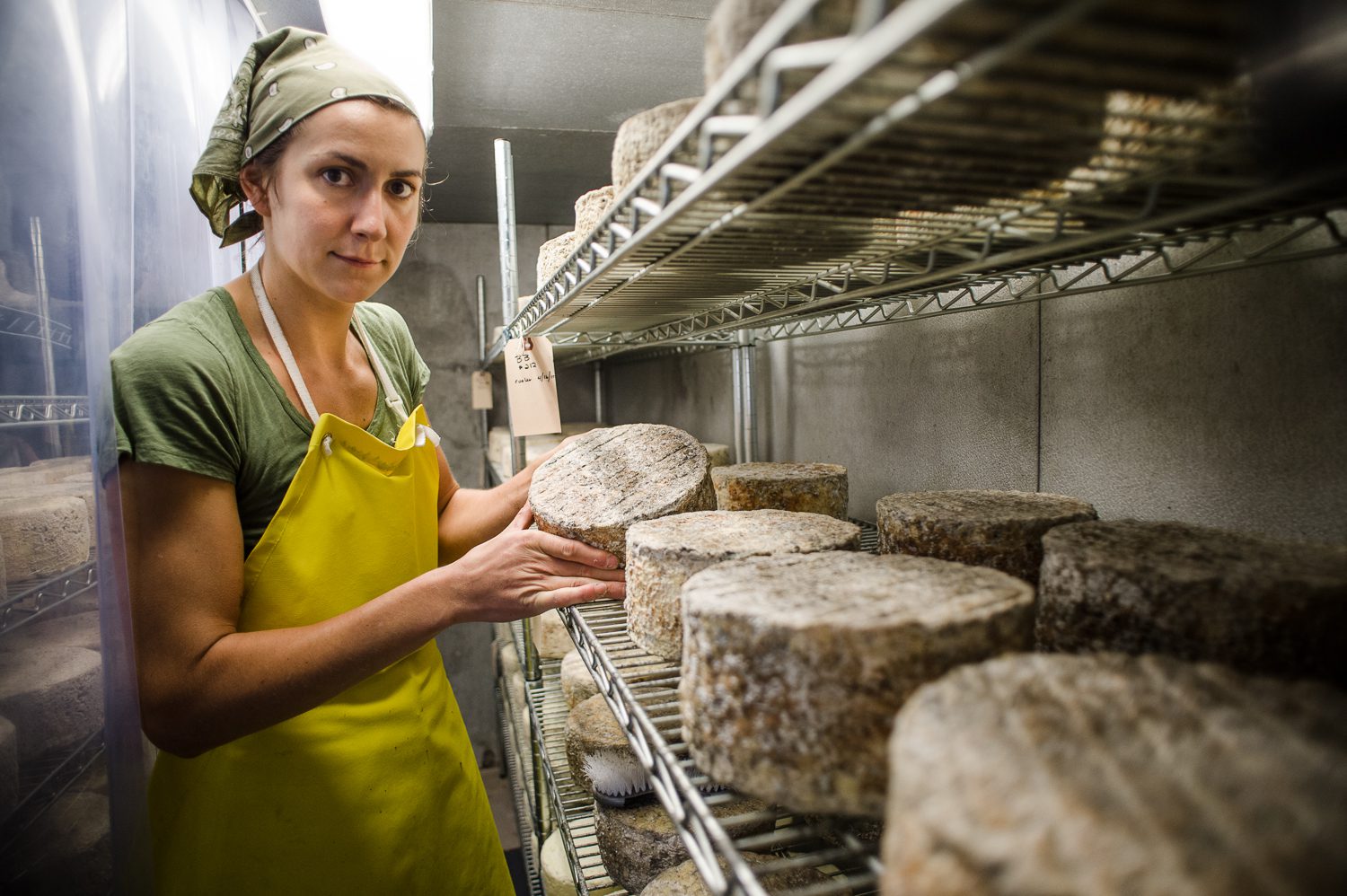 Seeking Part-Time Cheesemaking Assistant