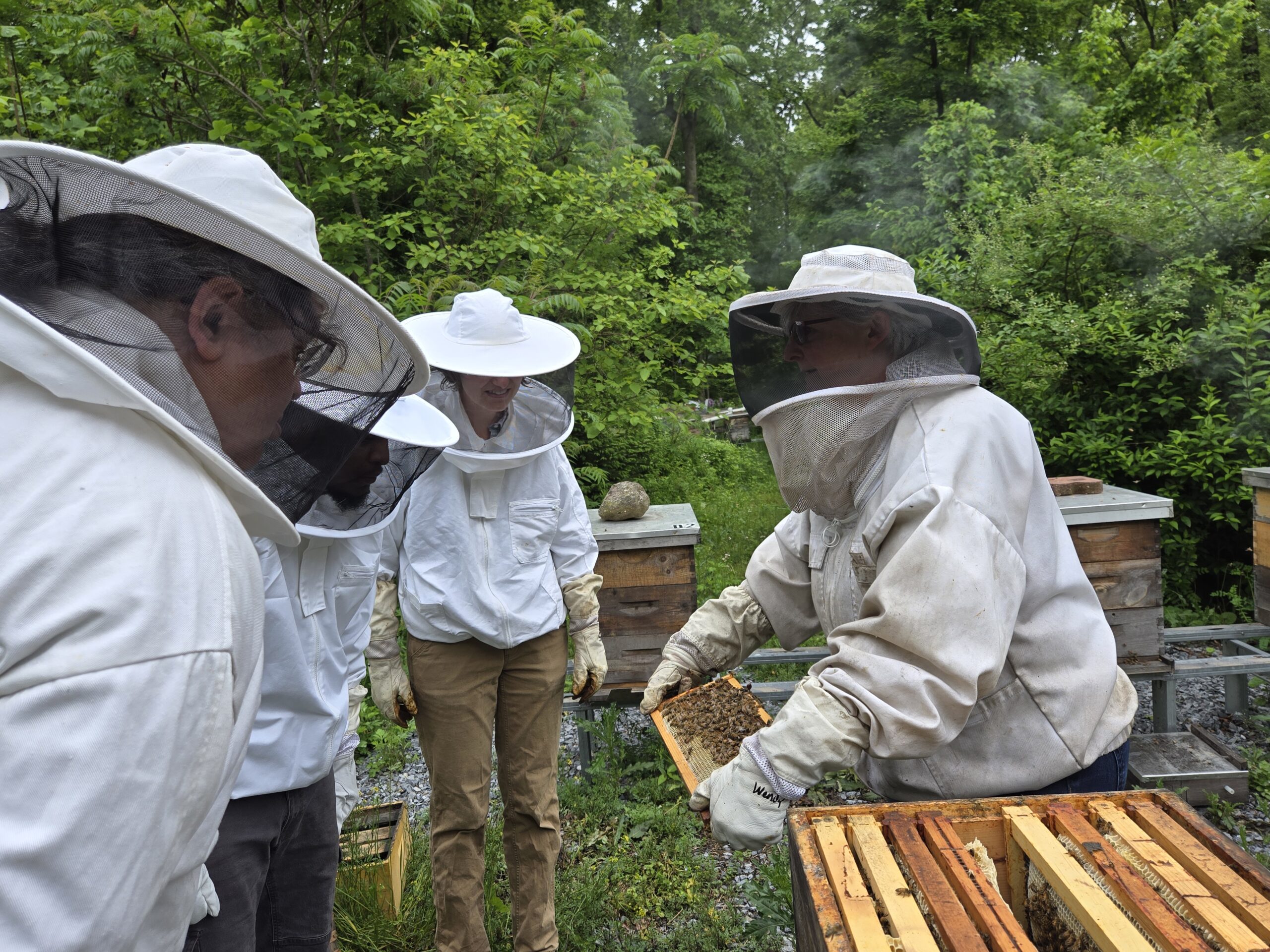 Peer-to-peer education means farmers are teachers, and farmers are life-long learners.