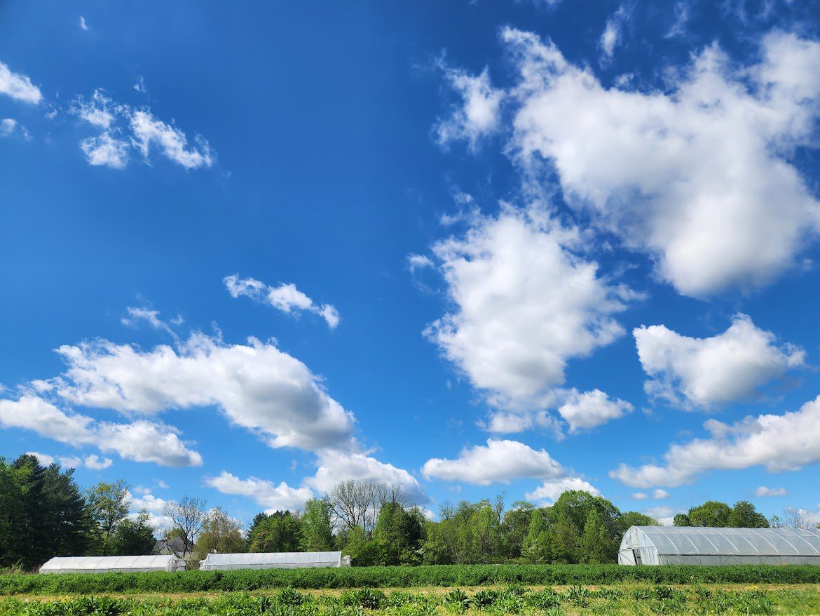 Pennypack Farm hiring for 20 month Vegetable Apprenticeship