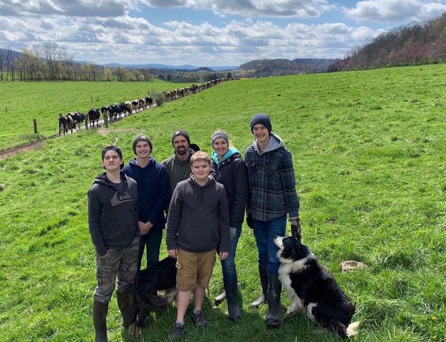 Six people stand in a pasture with two dogs. Behind them cows progress in a line toward the horizon.