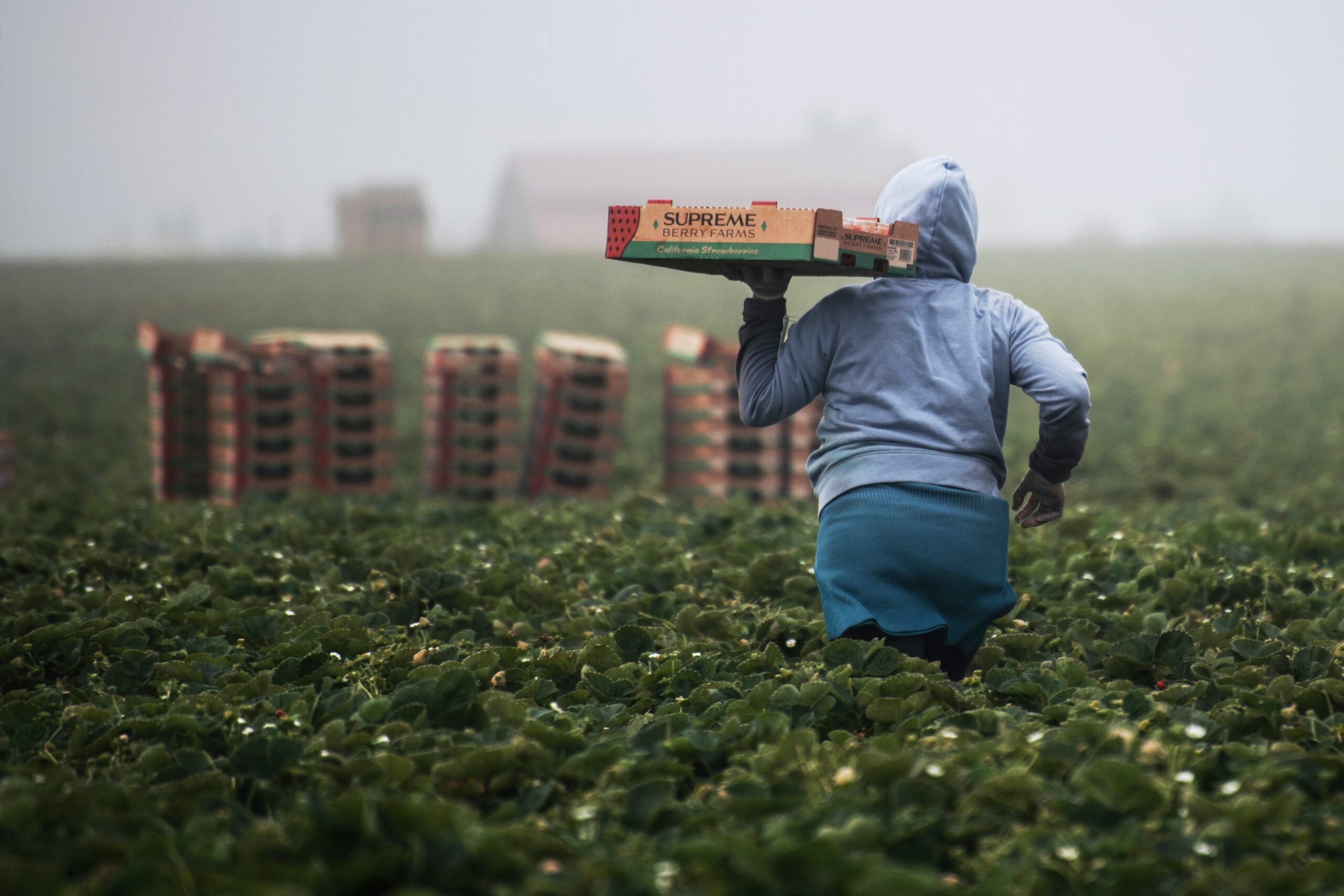 But the reality for most farmworkers and employees of meatpacking plants in this country is much different.