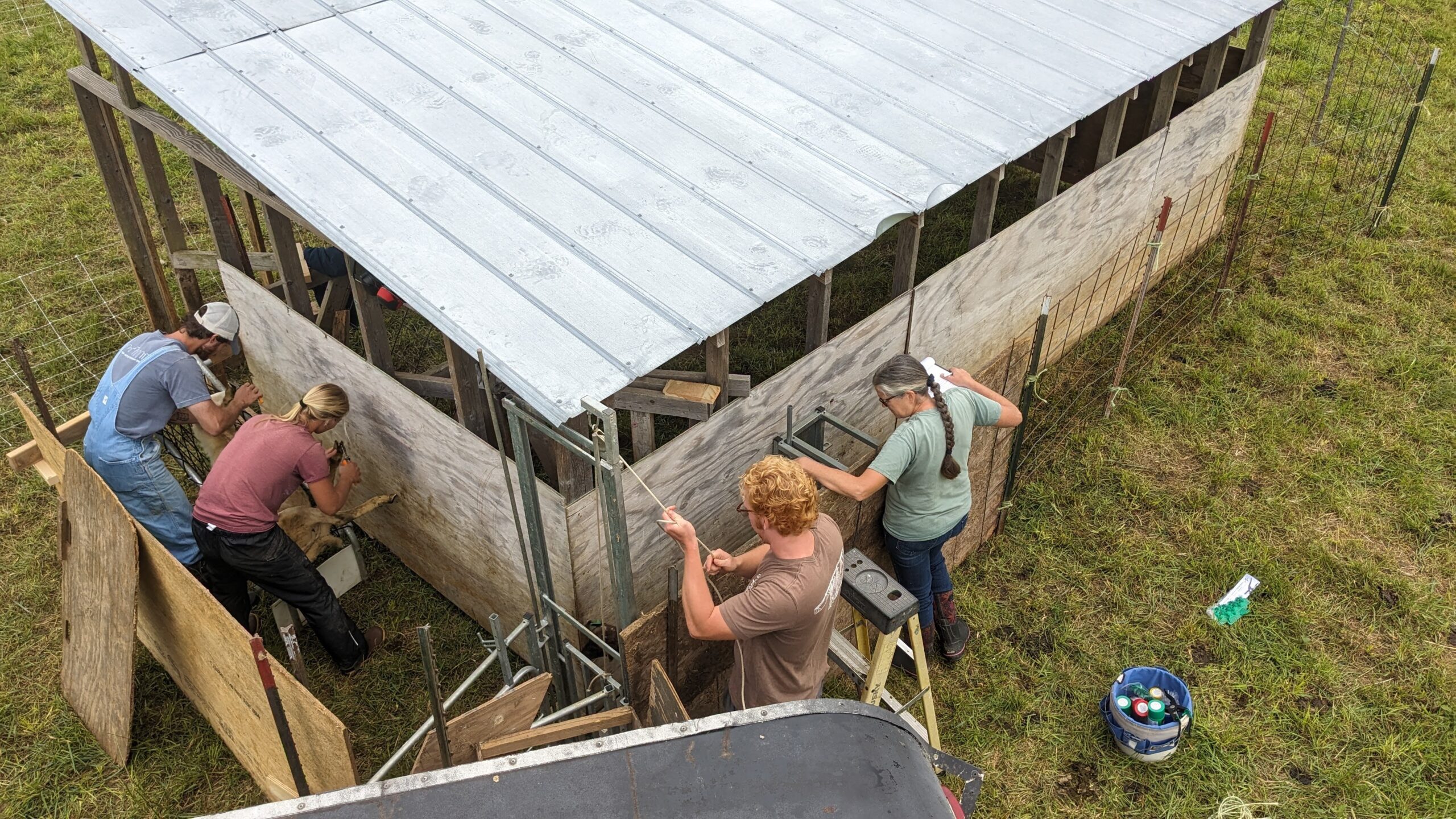 Weathertop Farm Apprenticeship – Regenerative Ag