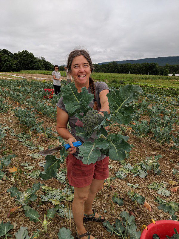 Farm apprenticeships at The Good Farm, certified organic for 20+ years