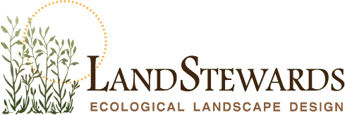 Ecological Landscape Foreman